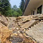 Vlk Železná Ruda