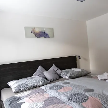 Apartment Vlk Železná Ruda