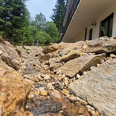 Vlk Železná Ruda