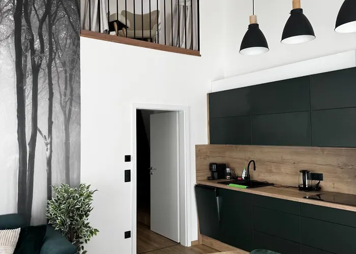 Apartment Vlk