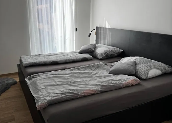 Apartment Vlk