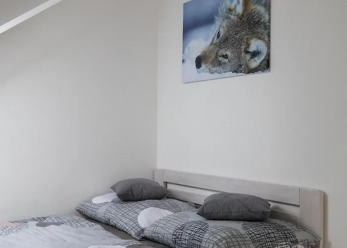 Apartment Vlk *