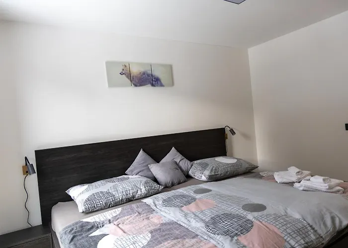 Apartment Vlk Železná Ruda